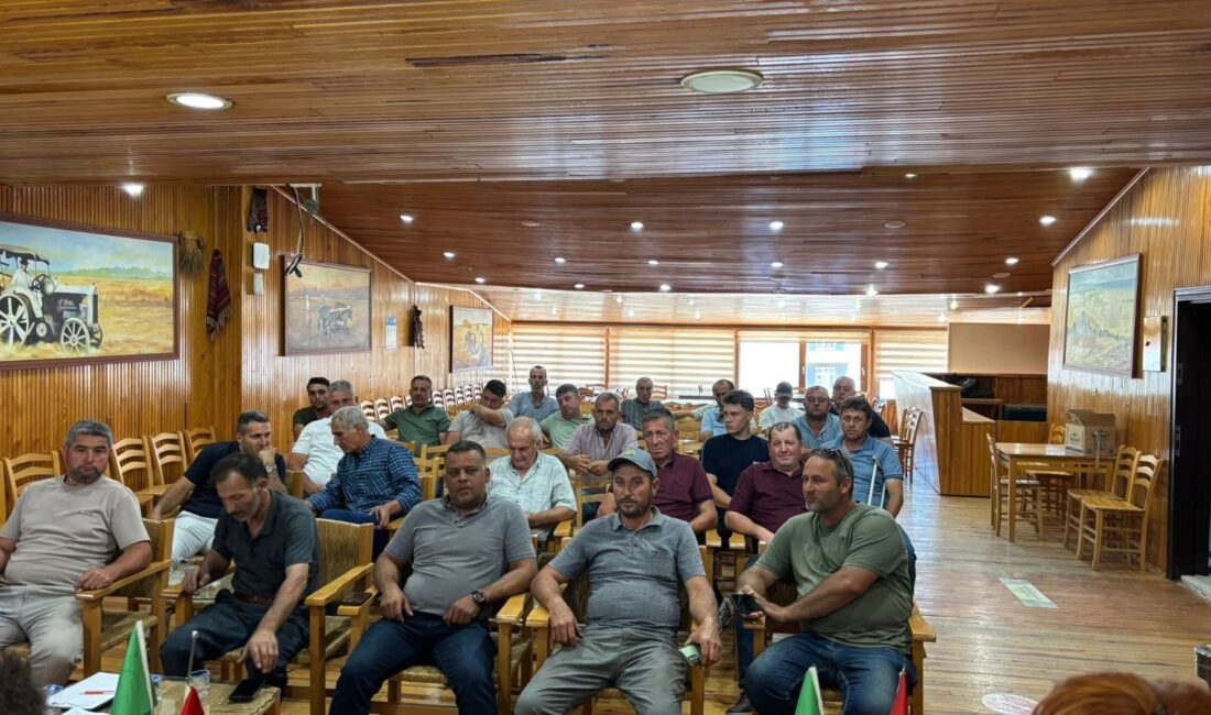 Gönen'de hububat hasadı başladı! Üreticiler, dane kaybı ve yangın riski