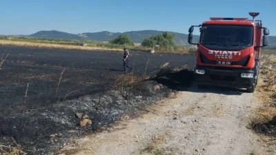Osmanpazar Mahallesi'ndeki buğday tarlasında çıkan yangın, ekiplerin hızlı müdahalesiyle kontrol