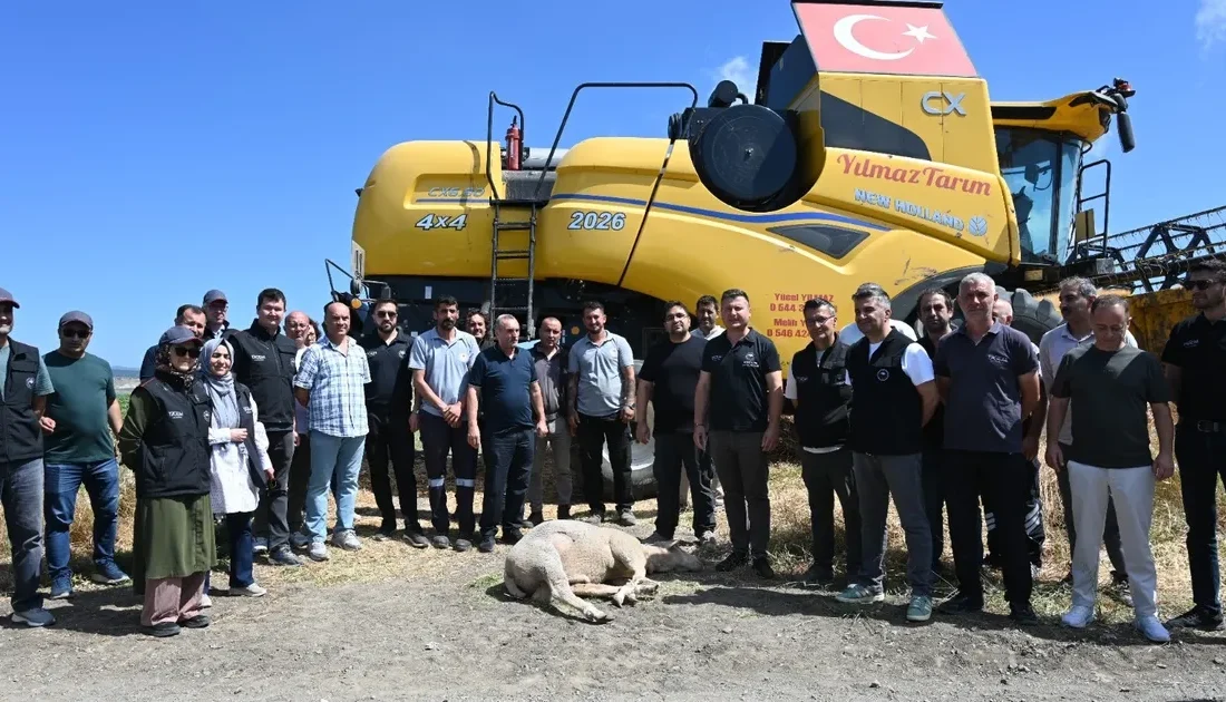 Koyunculuk Araştırma Enstitüsü, 5.750 dekarlık alanda arpa hasadını tamamladı. Detayları
