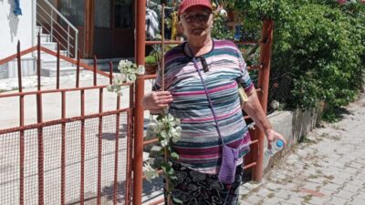 Marmara Adalar Belediyesi, "Marmara Çiçek Açsın" projesiyle Saraylar, Asmalı, Topağaç