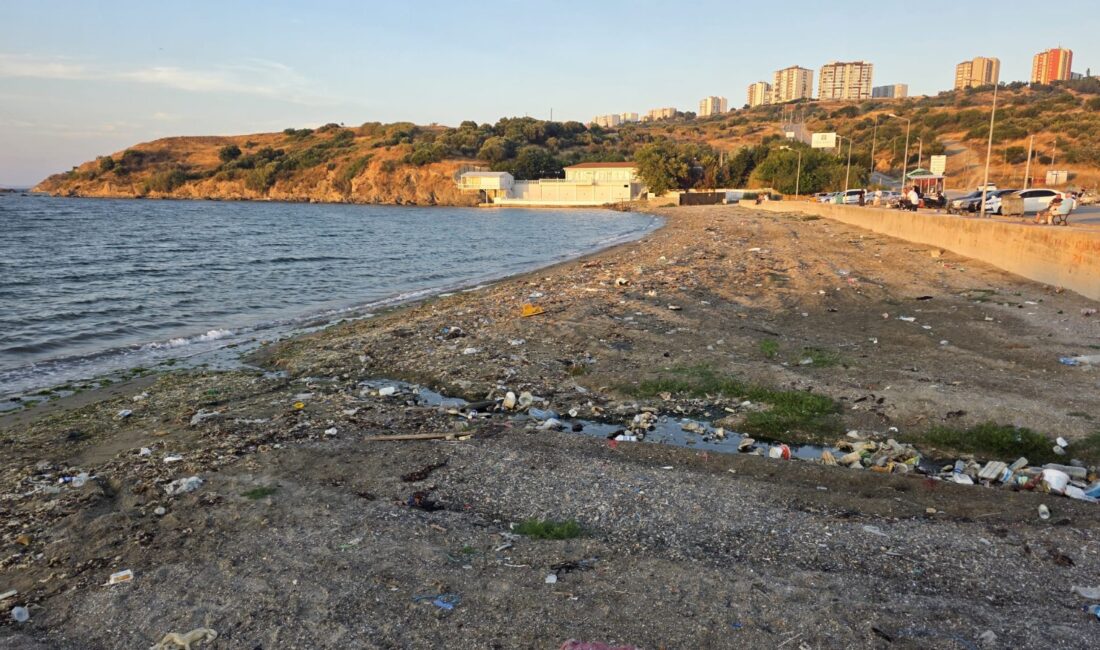 Bandırma Livatya Sahili'nde temizlenen atıklar yeniden belirdi. Rüzgar ve dalgalarla