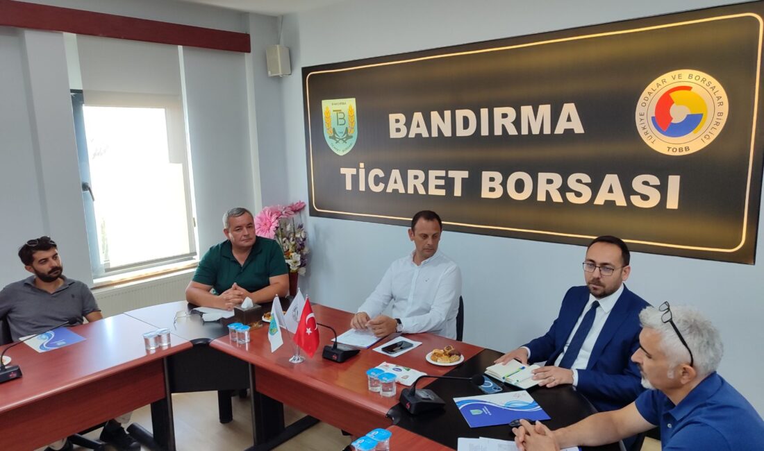 Yumurta tavukçuluğu sektöründe IPARD desteklerini ve yatırım fırsatlarını keşfedin! Bandırma'daki