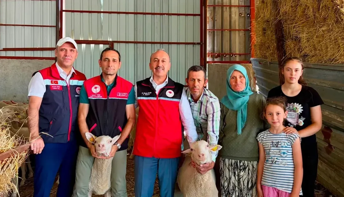 Karesi'de küçükbaş hayvan teslimatları başladı! Kırsal kalkınmaya destek veren bu