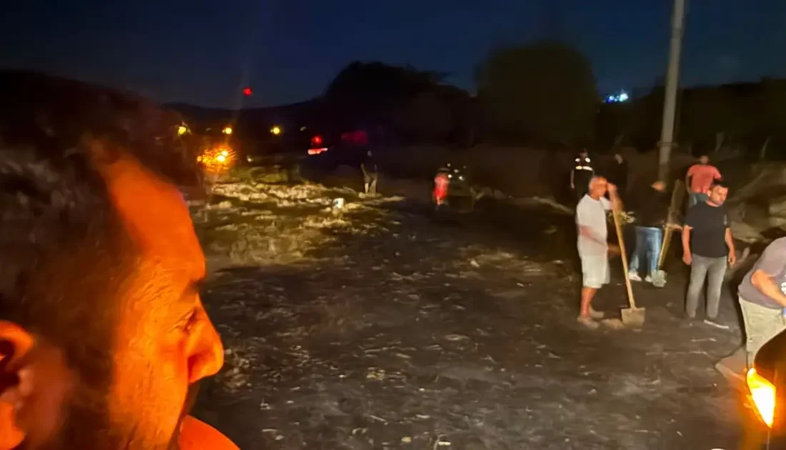 Paşalimanı Adası'ndaki orman yangını kontrol altına alındı. Detaylar ve yangının