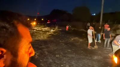 Paşalimanı Adası'ndaki orman yangını kontrol altına alındı. Detaylar ve yangının