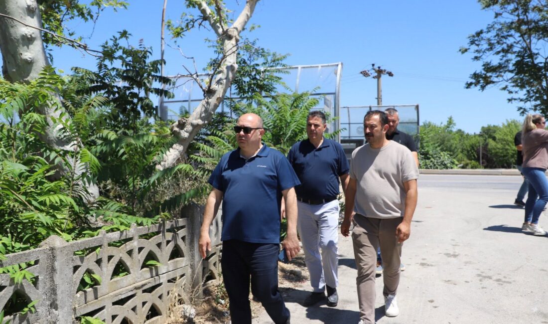 Gönen Köprüsü çevresi peyzaj ve çevre düzenlemesi başlıyor! Başkan Palaz