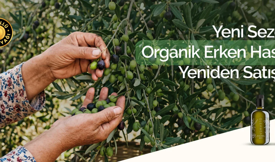Kaliteli bir zeytinyağı yalnızca damakta bıraktığı tatla değil, üretim sürecindeki