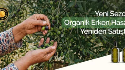 Kaliteli bir zeytinyağı yalnızca damakta bıraktığı tatla değil, üretim sürecindeki