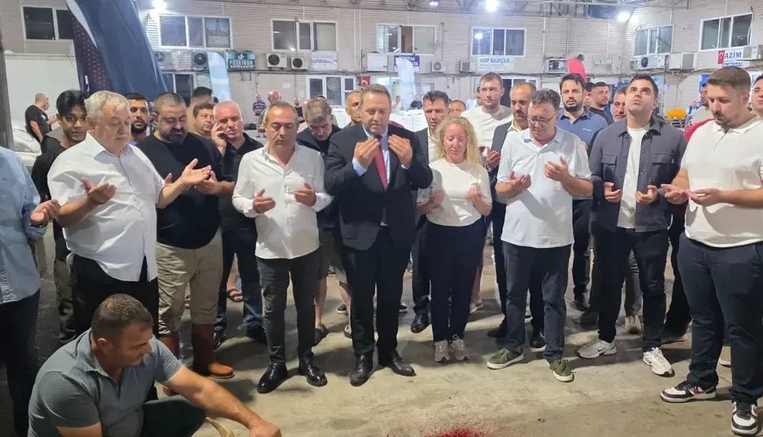 Bandırma Balık Hali'nde yeni sezon ilk mezatla başladı! Palamut, sardalya