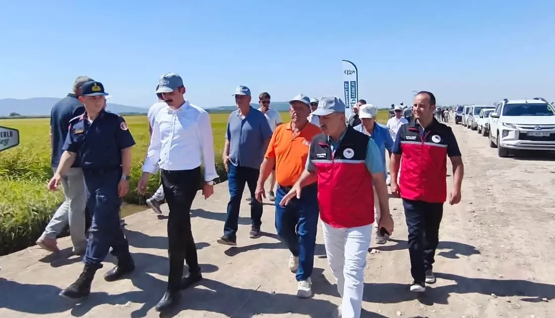 Manyas'ta düzenlenen Çeltik Tarla Günü'nde, İl Tarım Müdürü Düzgün üreticilerle