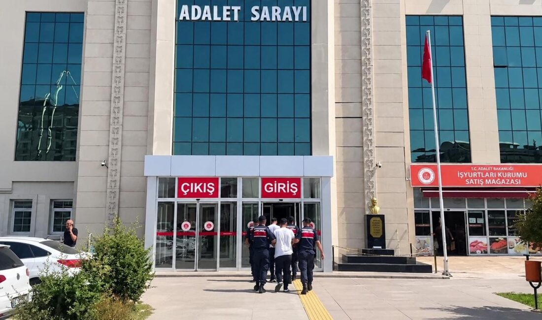 Uyuşturucuya geçit yok! 28 ilde kenevir ve skunk operasyonu: 140