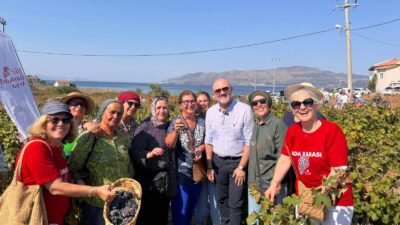 Marmara Adalar'da Adakarası Üzümü festivalinin detayları burada! Bağbozumu, ikramlar ve