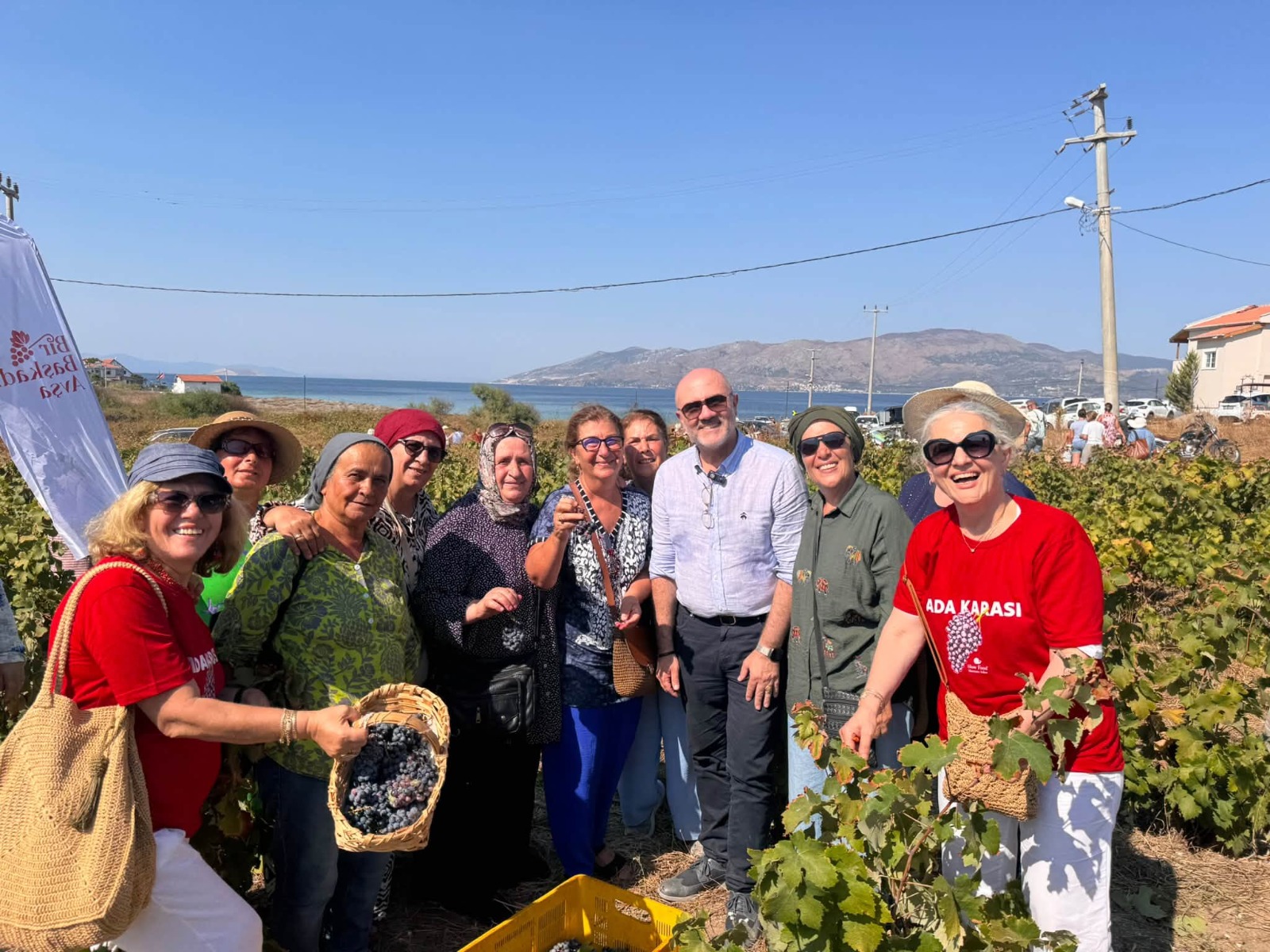 Marmara Adalar'da Adakarası Üzümü festivalinin detayları burada! Bağbozumu, ikramlar ve