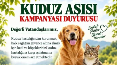 Balıkesir Tarım ve Orman Müdürlüğü'nden kuduz aşısı çağrısı! Kedi ve