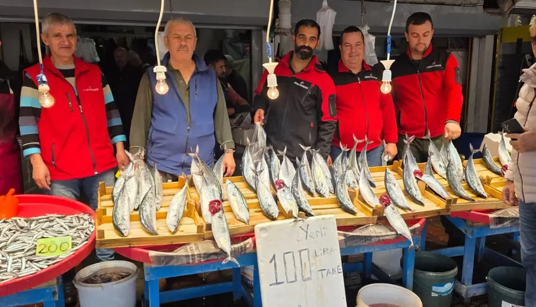 Bandırma Balık Hali'nde palamut fiyatları uygun seviyelere geriledi, halkın ilgisi
