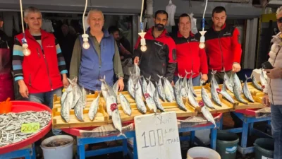 Bandırma Balık Hali'nde palamut fiyatları uygun seviyelere geriledi, halkın ilgisi