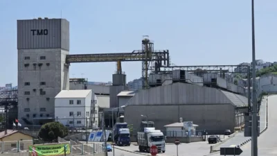 TMO 2026 çeltik alım fiyatlarını açıkladı! Hasat dönemi ve piyasa
