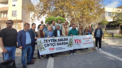 Yeni Parti Bandırma, Edincik'te zeytin fiyatlarındaki düşüşü ve üreticinin mağduriyetini